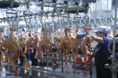 构成了“贵阳接单—长顺出产—两地联动